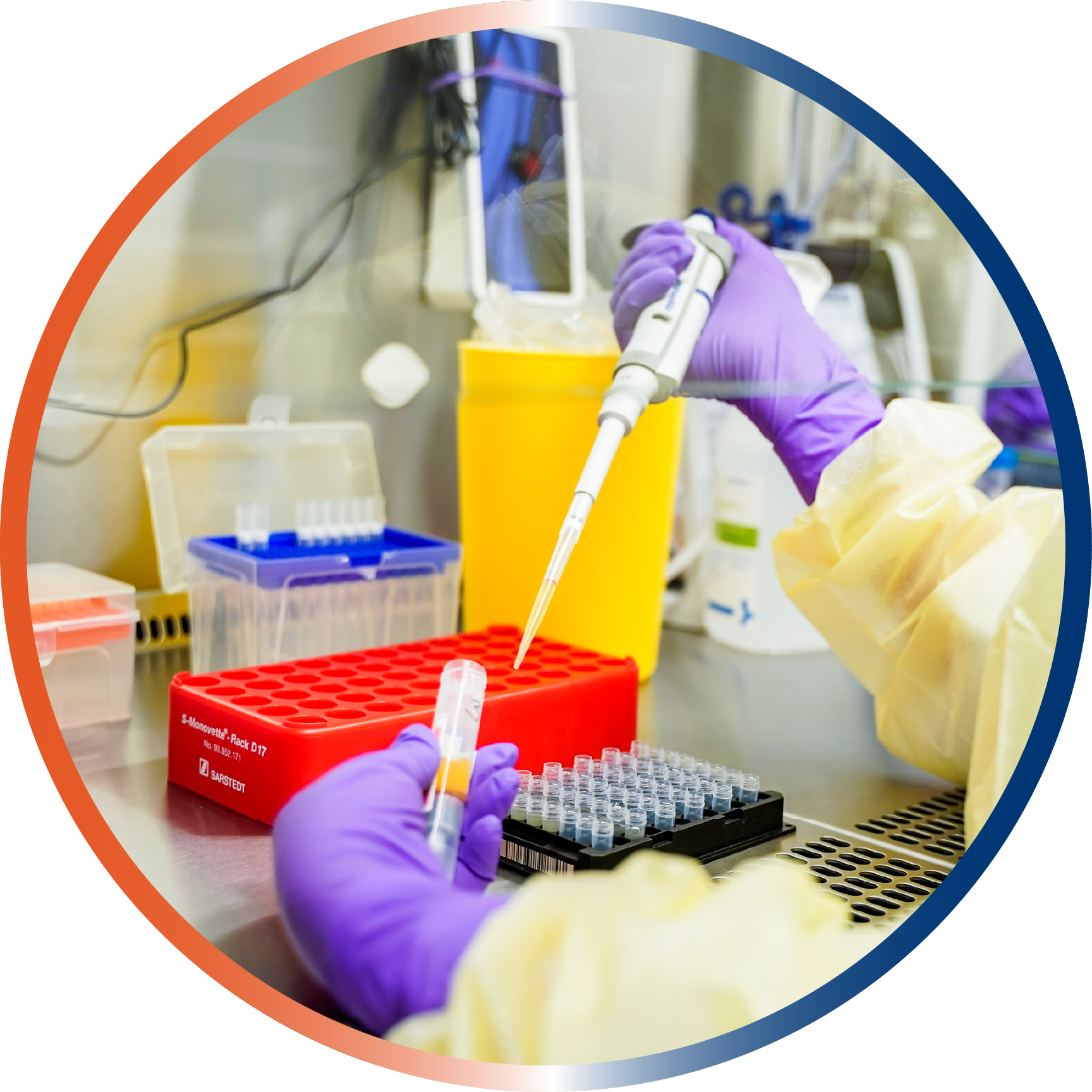 close up of hands with lab gloves pipetting samples from a centrifugation tube into small tubes. (c) ACBB