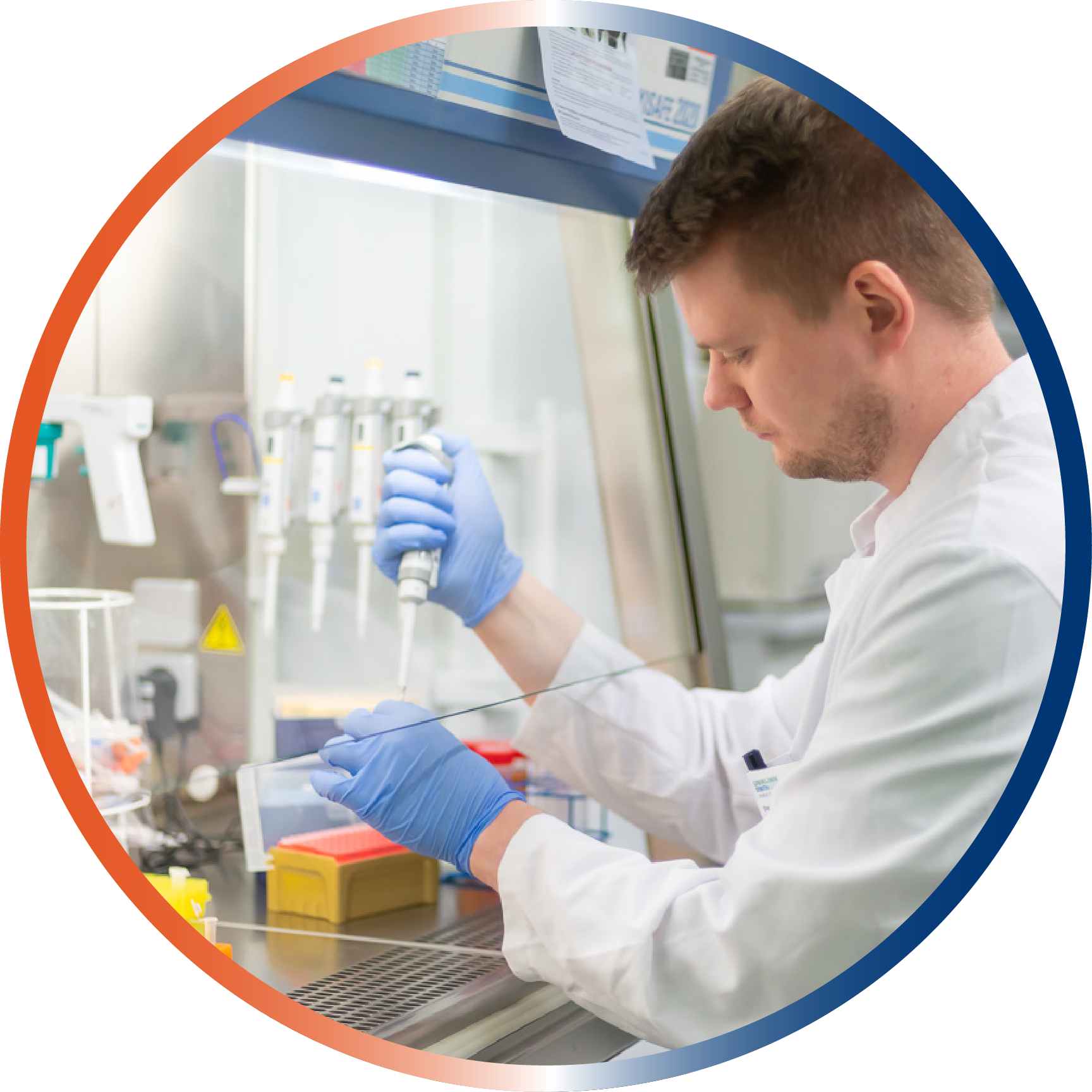 A young man with lab gloves pipetting samples in a laminar flow box. (c) cBMB