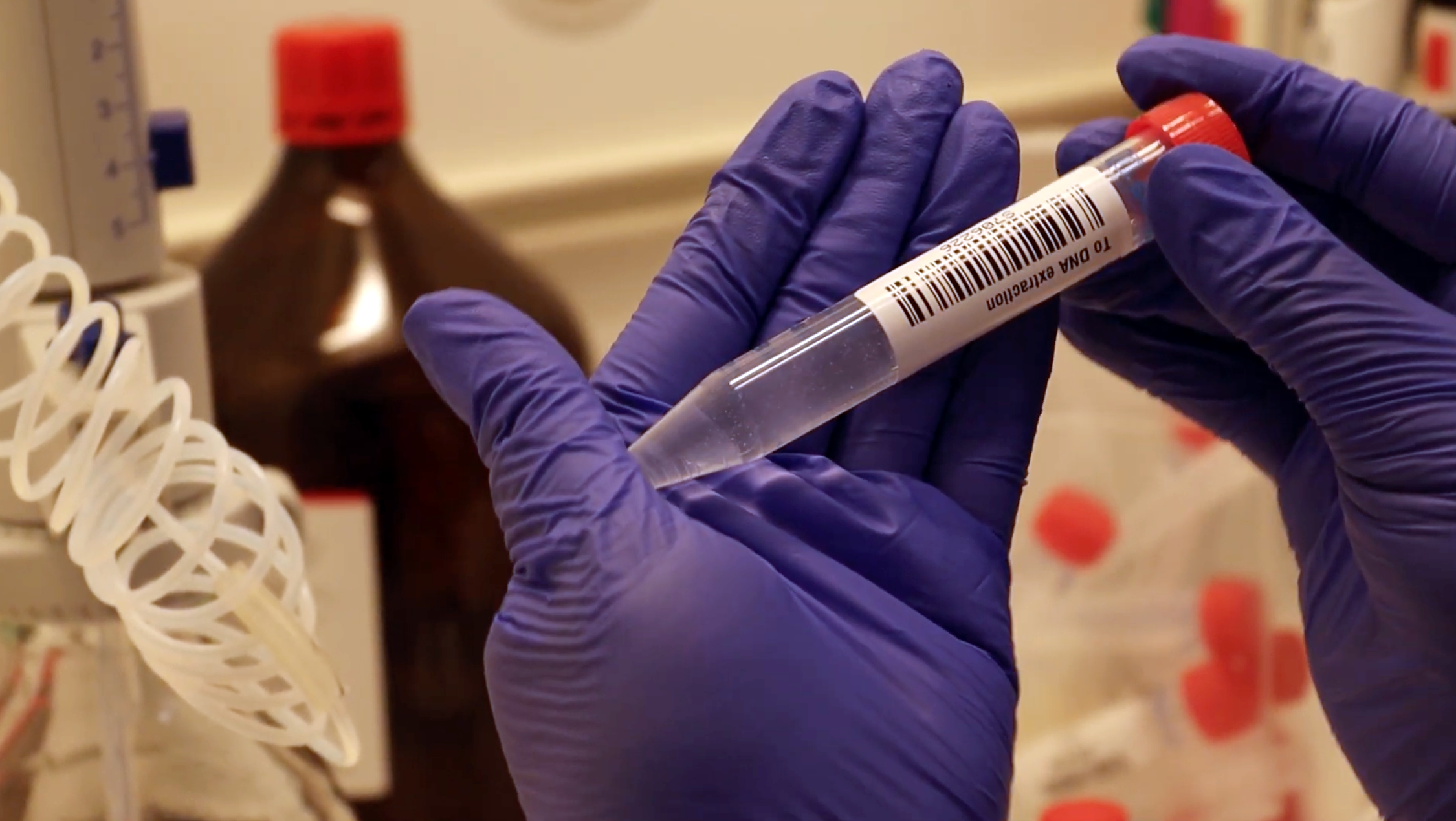 The picture of hands holding a vial in a laboratory. 