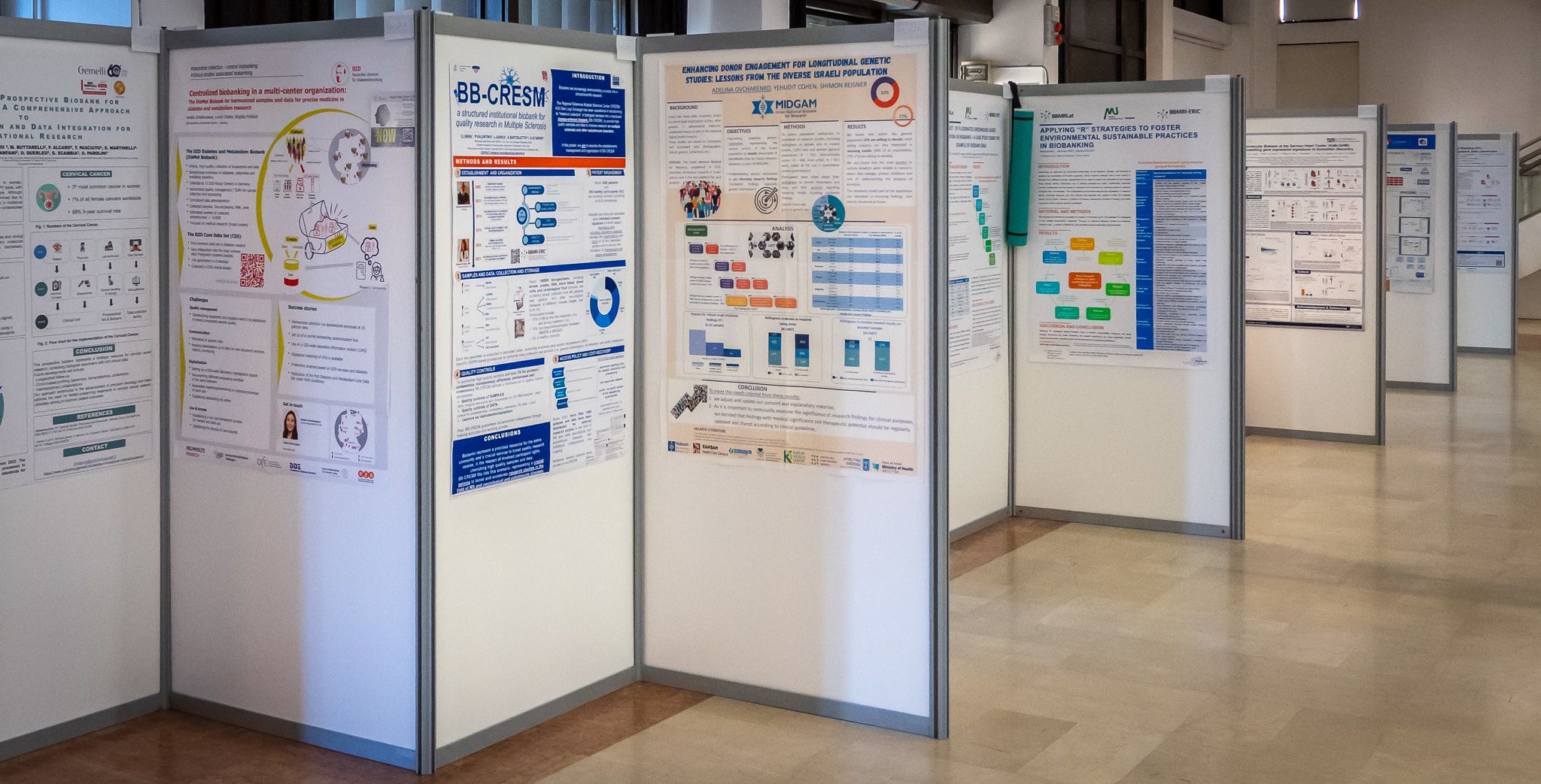 An array of white poster stands with colourful scientific posters.