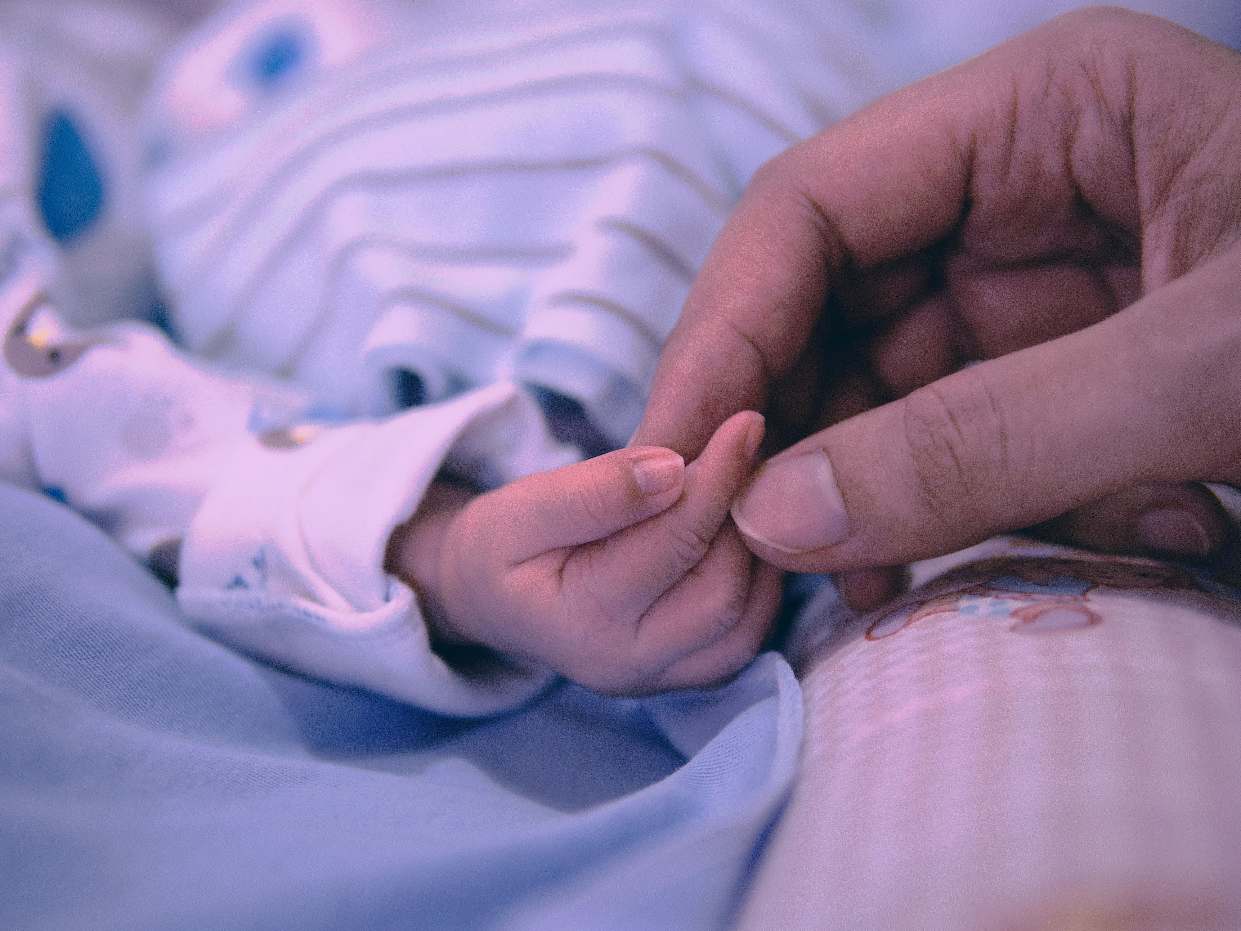 person holding baby's index finger