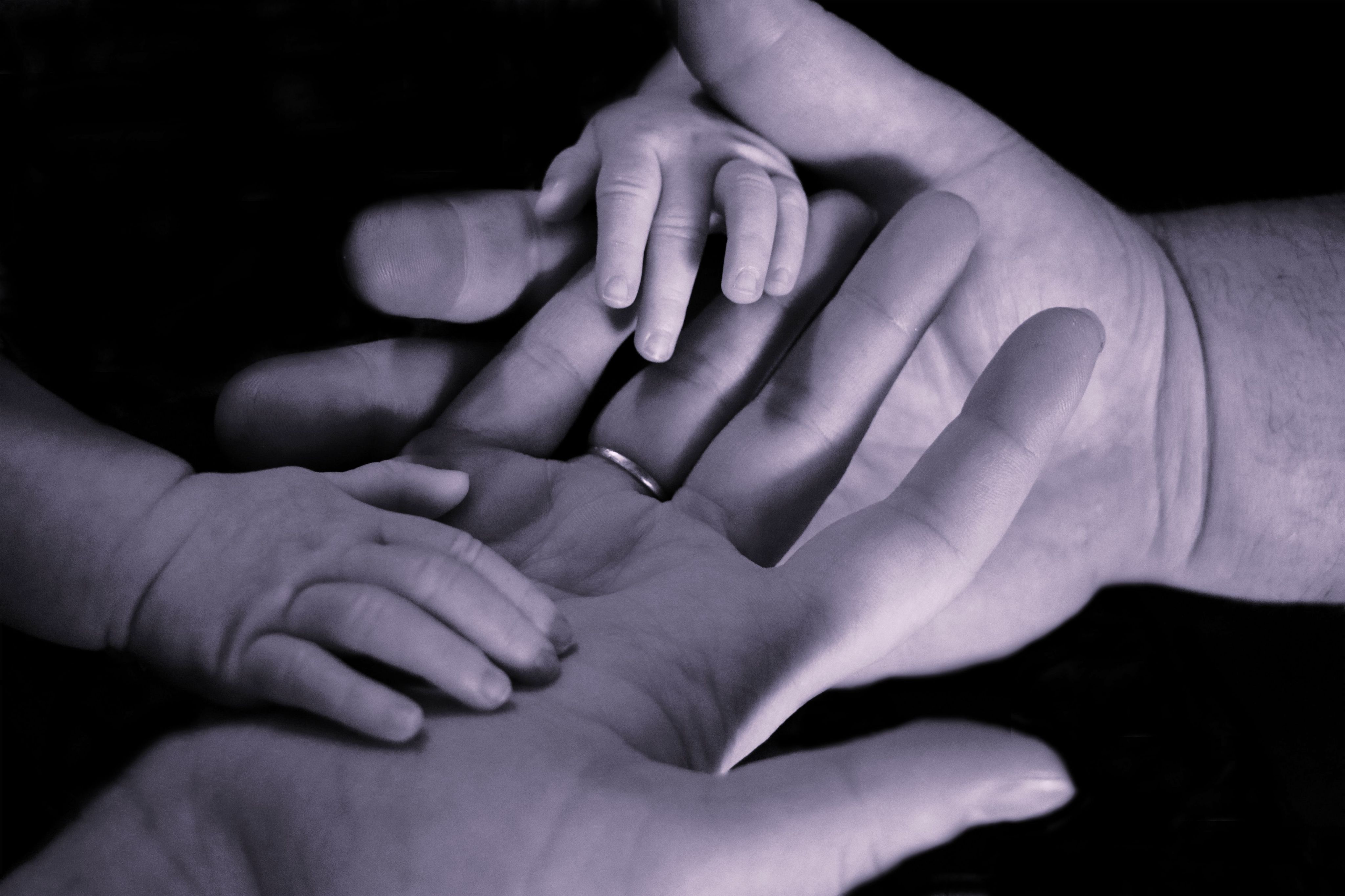 babys hand on human palm