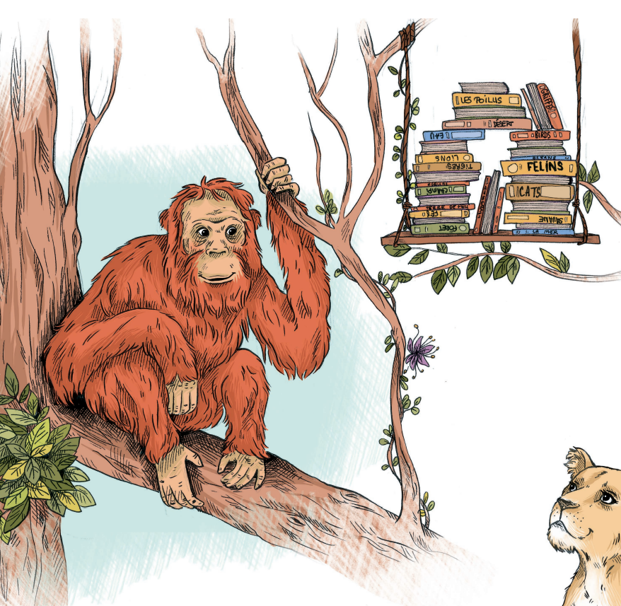 orangutang  with books